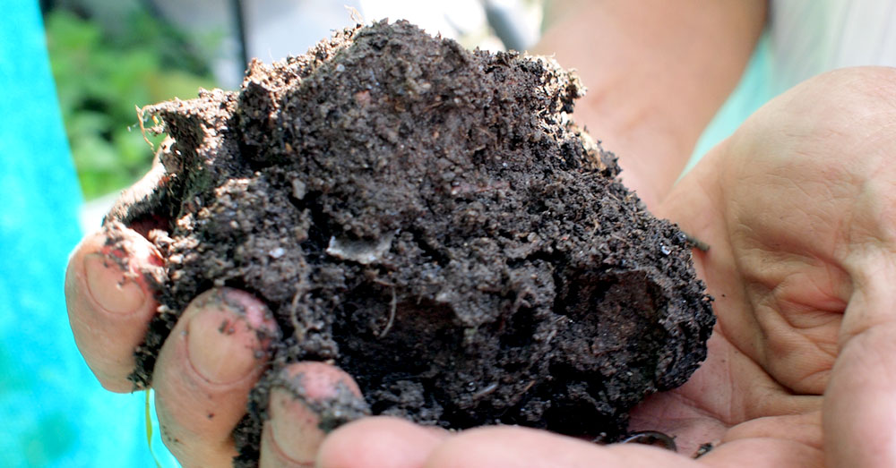 Simply put, biochar is charcoal mixed with compost/animal waste/grass clippings/etc and is perhaps the best soil amendment out there. 
