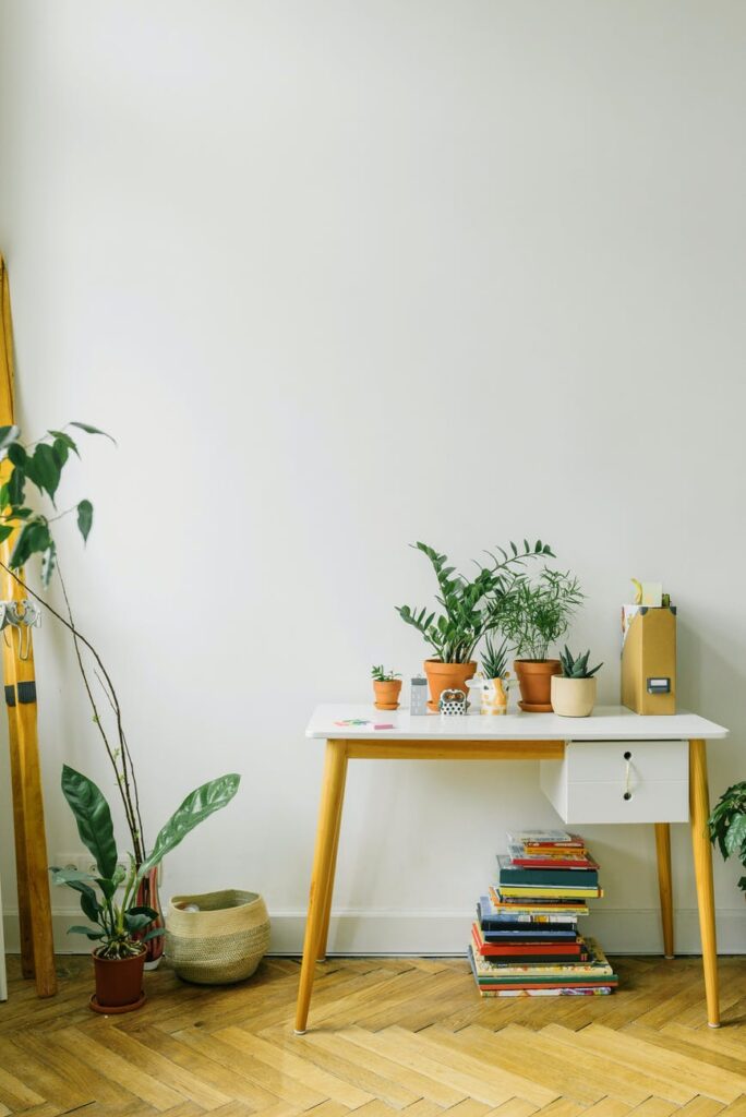 green potted plant on yellow and white wooden table